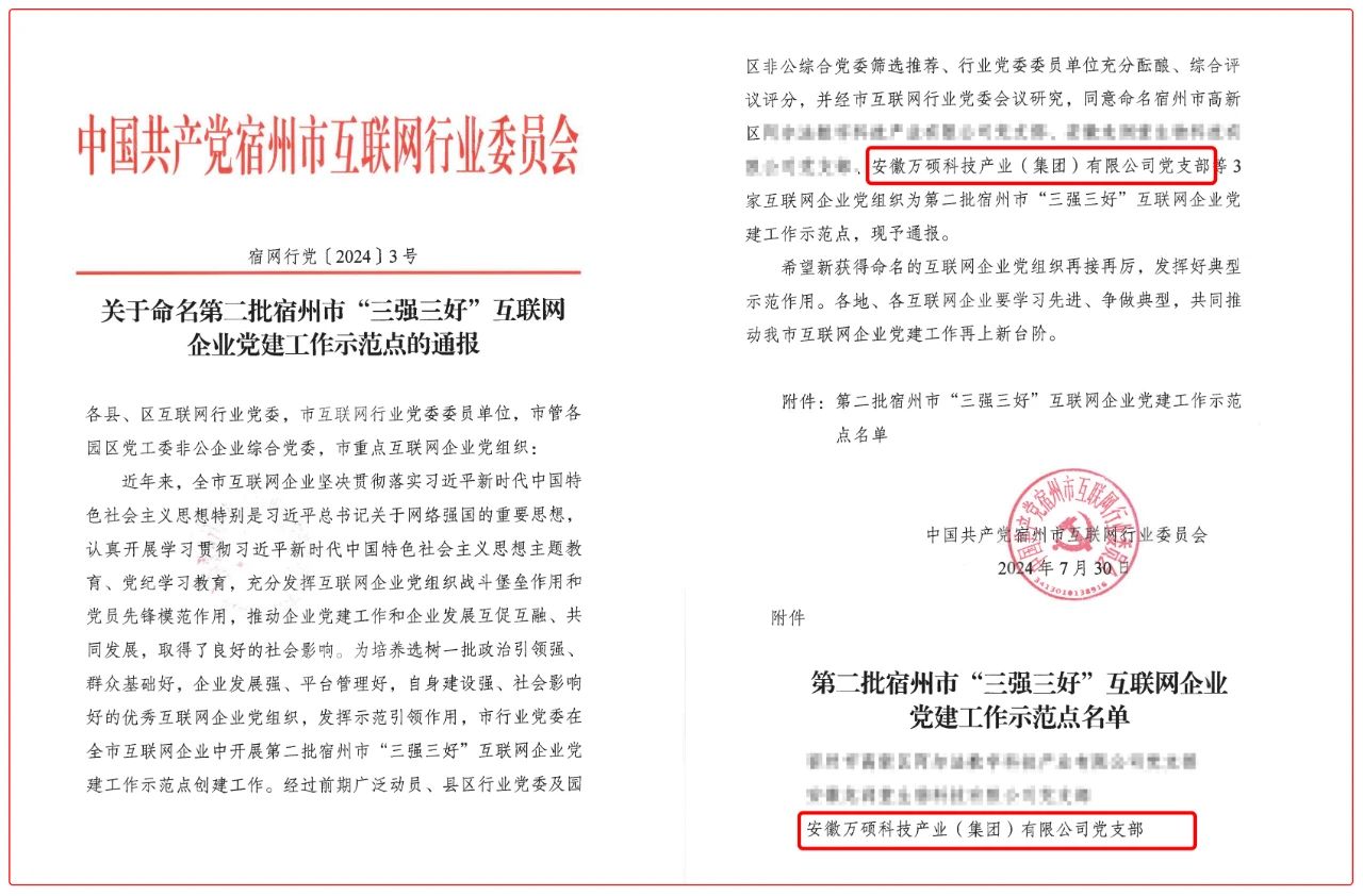 喜報(bào)！安徽萬(wàn)碩科技產(chǎn)業(yè)（集團(tuán)）有限公司黨支部榮獲宿州市互聯(lián)網(wǎng)企業(yè)“三強(qiáng)三好”黨建工作示范點(diǎn)